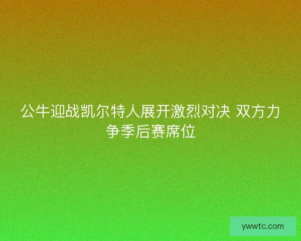 公牛迎战凯尔特人展开激烈对决 双方力争季后赛席位